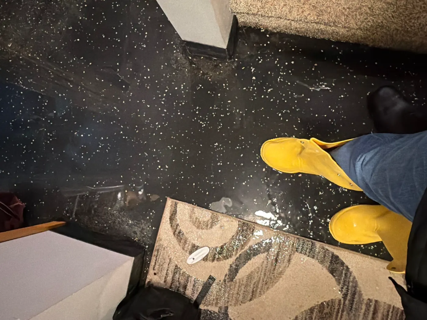 Flooded basement cleanup in Heritage Lake, Hamilton County
